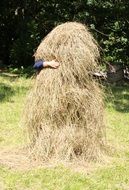 Haystack Yoda Pile Hay Feed