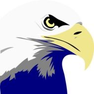 drawing of an eagle head on a white background