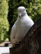 white figure of a dove in the cemetery