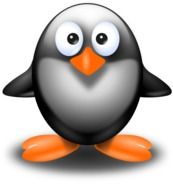 drawing of a standing funny penguin at white background