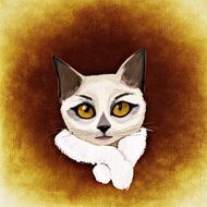 drawing of a white cat on a brown background