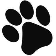 black footprint on the white background