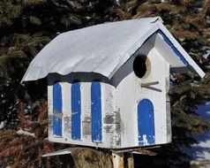 white with blue Birdhouse outdoor