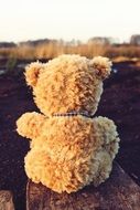 teddy bear outdoor