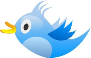 blue bird as a twitter icon