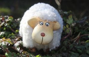 Sheep, Soft Toy on grass