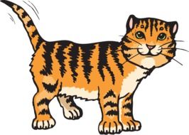 striped tiger cub