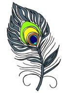 drawing a feather from a peacock's tail