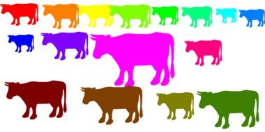 graphic image of multi-colored cows
