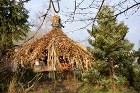 beautiful bird feeder