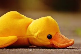 funny soft toy in the form of a duck