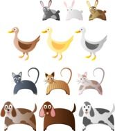 graphic image of different animals