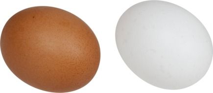 white and brown eggs for breakfast
