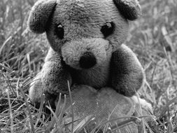 black and white photo of a teddy bear near the stone