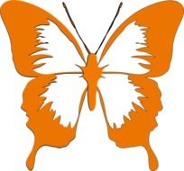 orange butterfly as a graphic image