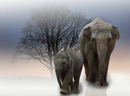 two elephants among nature as a photo montage