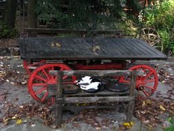 Cat sleeping on wooden bench at table outdoor