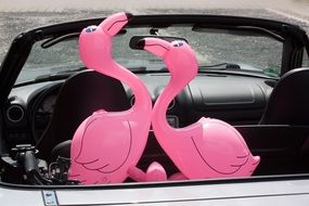 decorative romantic flamingos in the cabriolet