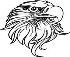 drawing of a proud eagle