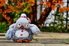 funny soft owl
