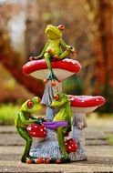 frog near the fungus
