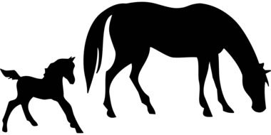 drawing a silhouette of a horse and foal
