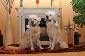 Golden Retriever Santa