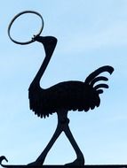 graphic image of a black ostrich with a ring