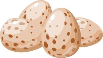 Spotted eggs clipart