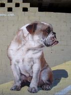 Graffiti Bulldog Mural Painting