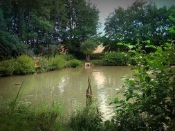 quiet pacified lake