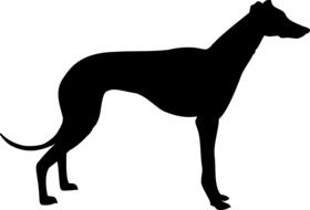Silhouette of Breed Dog