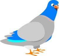 digital drawing of a pigeon