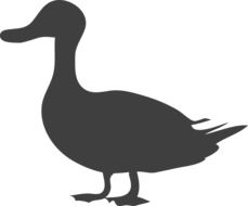 grey silhouette of a duck