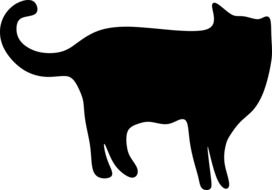 silhouette of a black cat