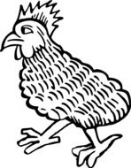 Bird Chicken drawing