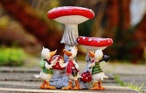 Duck near the mushrooms