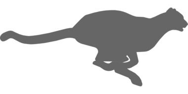 Running Cheetah, grey silhouette