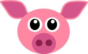 head drawing of a pink pig