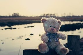 soft teddy bear on the wooden board