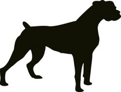 black silhouette of a domestic bulldog