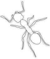 drawing silhouette of an ant