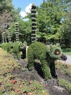 Mosaiculture Montreal