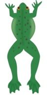Painted green jumping frog on white background