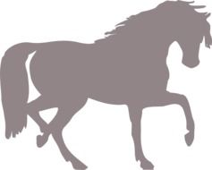 Horse, gray Silhouette