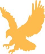 Orange silhouette of the eagle on white background