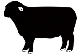 sheep, black silhouette, drawing