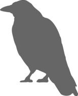 gray graphic image of a crow