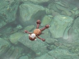 Monkey toy in the Sea