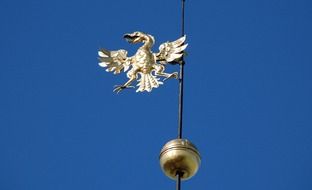 golden bird on steeple close up